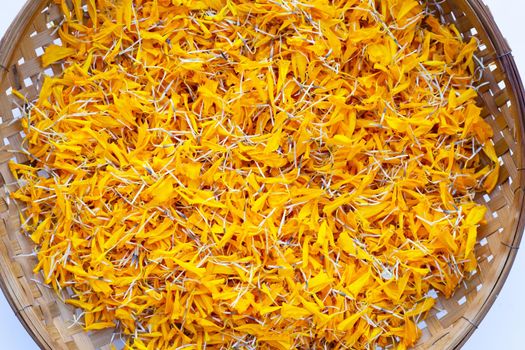 Petals of marigold flower on white background.