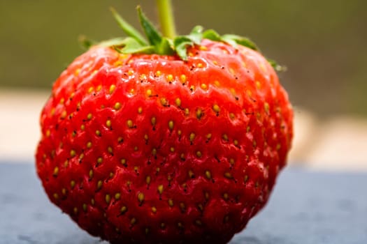 Close up of fresh strawberry showing seeds achenes. Details of a fresh ripe red strawberry.