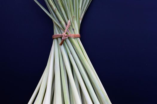 Fresh lemongrass on dark background.