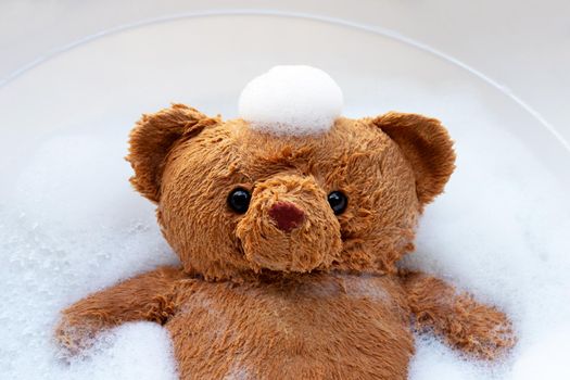 Soak toy bear in laundry detergent water dissolution before washing.  Laundry concept, Top view