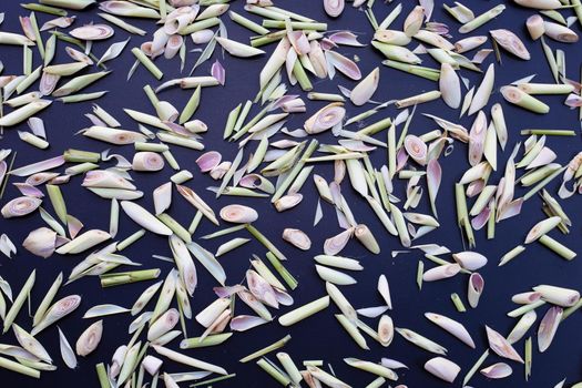Organic lemongrass on dark background.