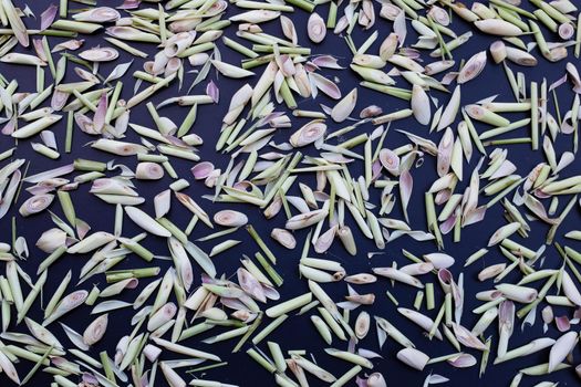 Organic lemongrass on dark background.