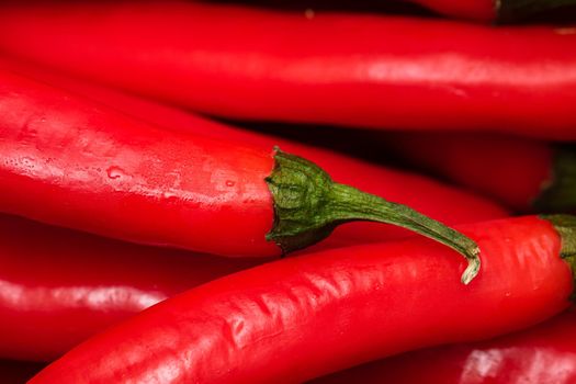 Red hot chilli peppers, close up. Background of red chilies