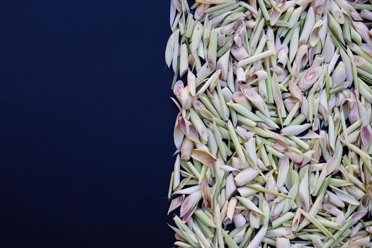 Organic lemongrass on dark background.