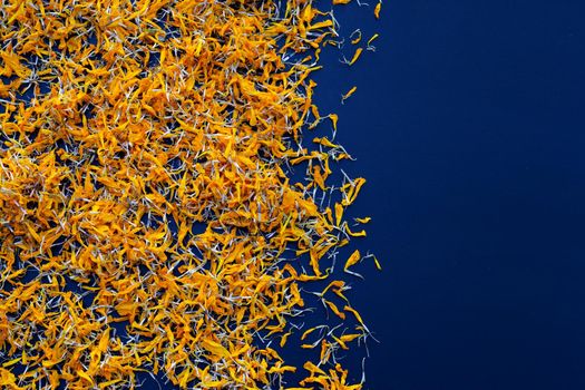 Petals of marigold flower on dark background.