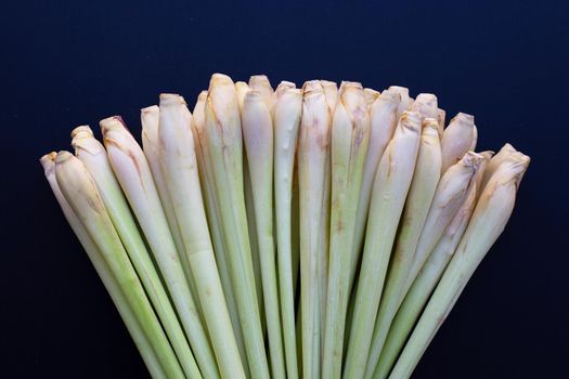 Fresh lemongrass on white background.