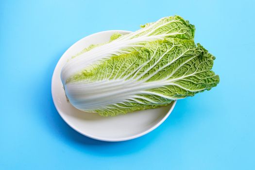 Chinese cabbage on blue background.