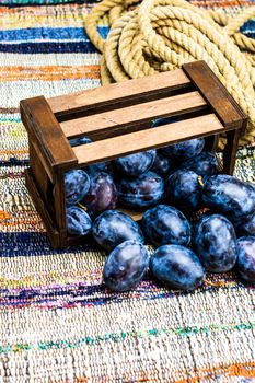 Ripe blue plums in a wooden crate in a rustic composition.