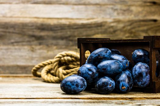 Ripe blue plums in a wooden crate in a rustic composition.