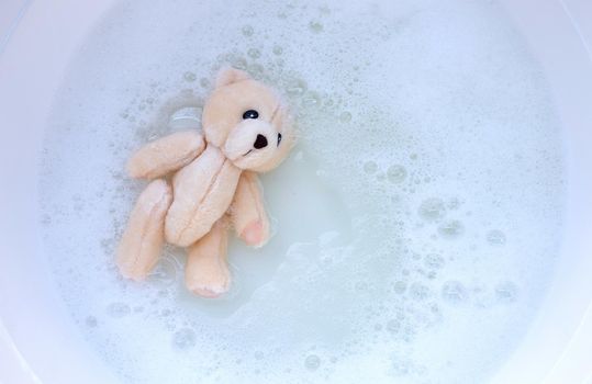 Soak toy bear in laundry detergent water dissolution before washing.  Laundry concept, Top view