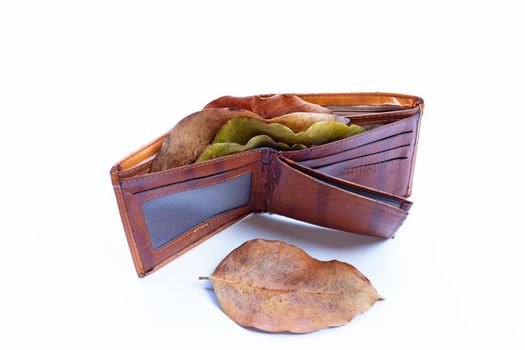 Wallet with dry leaves on white background. Poor or no money concept.