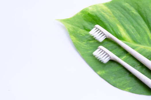 Toothbrushes with green leaf on white background. Dental care concept