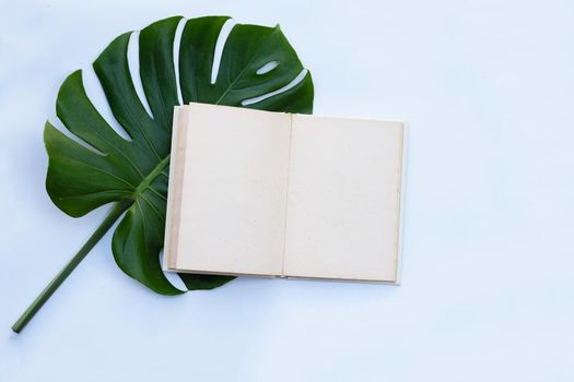 Notebook with green leaves on white background.