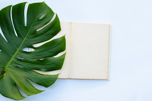 Notebook with green leaves on white background.