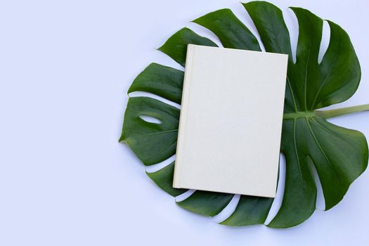 Notebook with green leaves on white background.