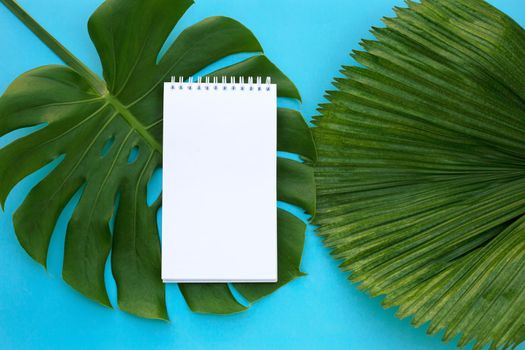 Notebook on green leaves on blue background.