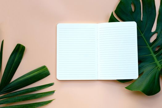 Notebook with green leaves on pastel background.