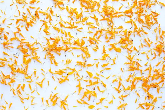 Petals of marigold flower on white background.