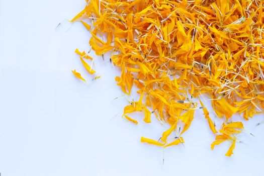 Petals of marigold flower on white background.