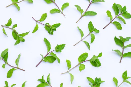 Fresh mint leaves on white background. Top view