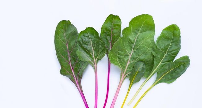 Fresh swiss chard on a white background