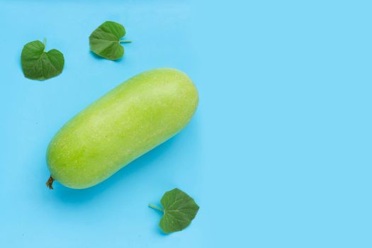 Winter melon on blue background.