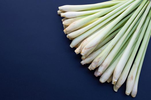 Fresh lemongrass on dark background.