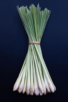 Fresh lemongrass on dark background.