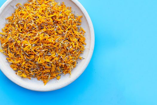 Petals of marigold flower on blue background.