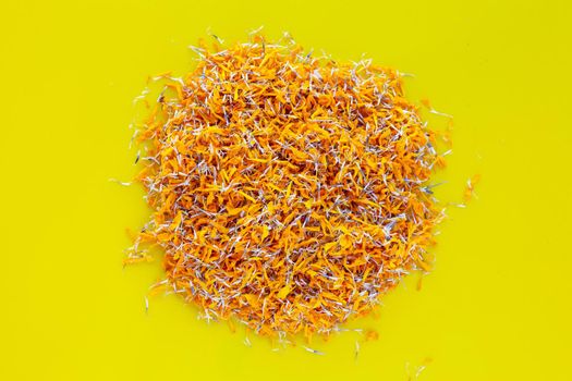 Petals of marigold flower on yellow background.