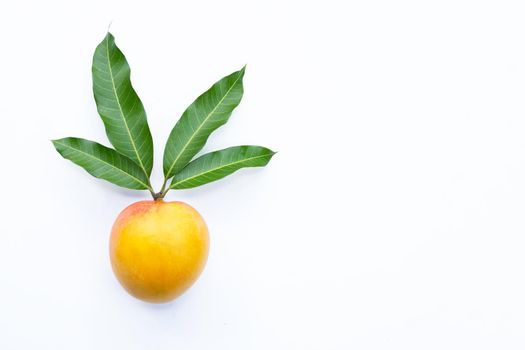 Tropical fruit, Mango on white background.