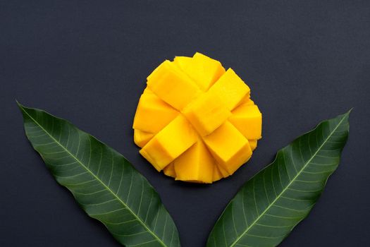 Tropical fruit, Mango  on dark background.