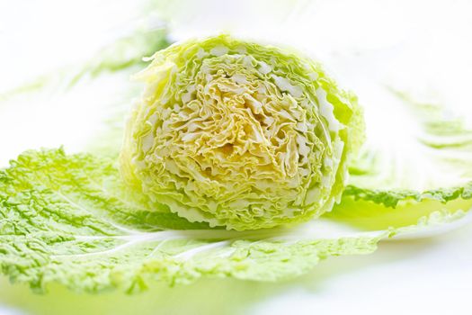 Close up of fresh chinese cabbage