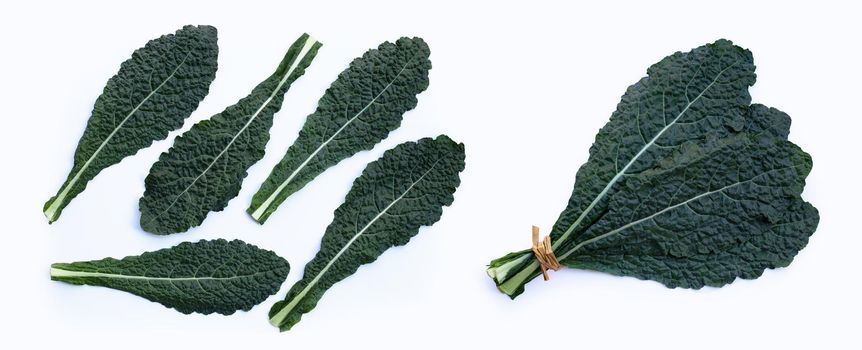 Fresh organic green kale leaves on white background.