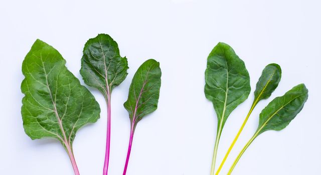 Fresh swiss chard on a white background