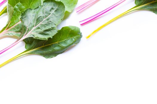 Fresh swiss chard on a white background