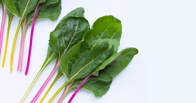 Fresh swiss chard on a white background