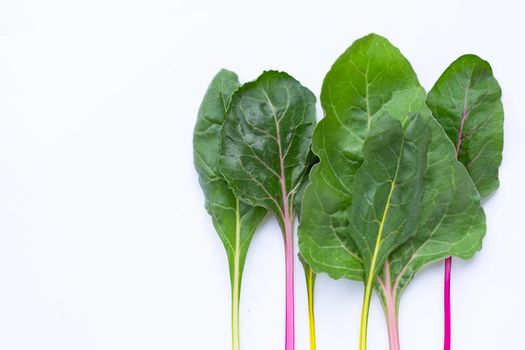 Fresh swiss chard on a white background