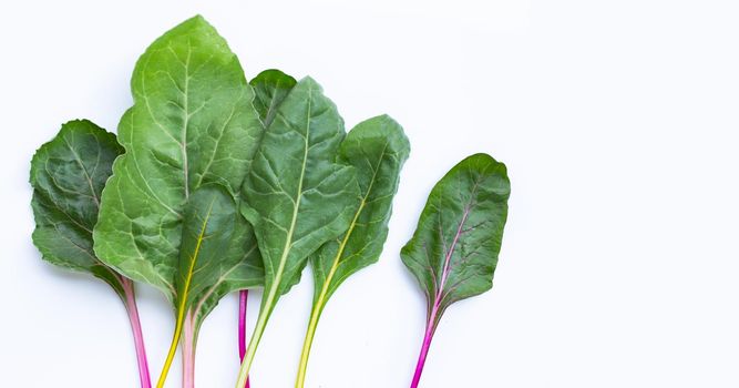 Fresh swiss chard on a white background