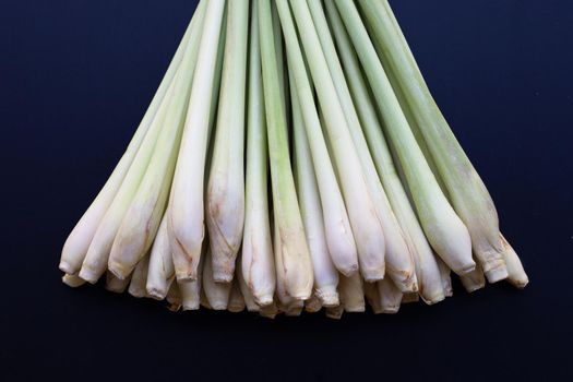 Fresh lemongrass on dark background.