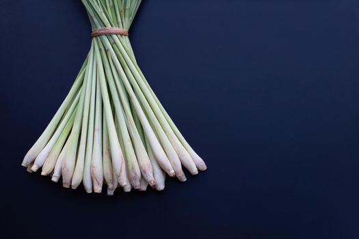 Fresh lemongrass on dark background.