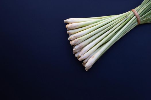 Fresh lemongrass on dark background.