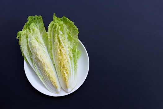 Chinese cabbage on dark background. Copy space