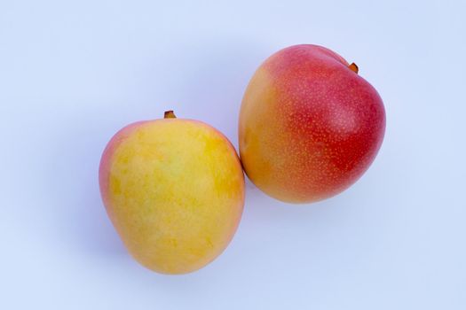 Tropical fruit, Mango  on white background.