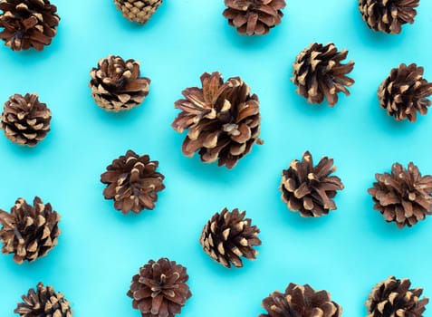 Pine cones isolated on blue background.