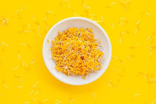 Petals of marigold flower on yellow background.