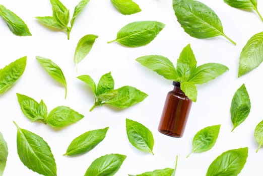 A bottle of essential oil with fresh basil leaves on white