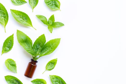 A bottle of essential oil with fresh basil leaves on white