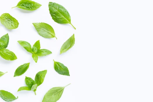 Fresh basil leaves on white background. Copy space