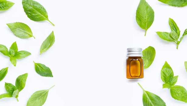 A bottle of essential oil with fresh basil leaves on white